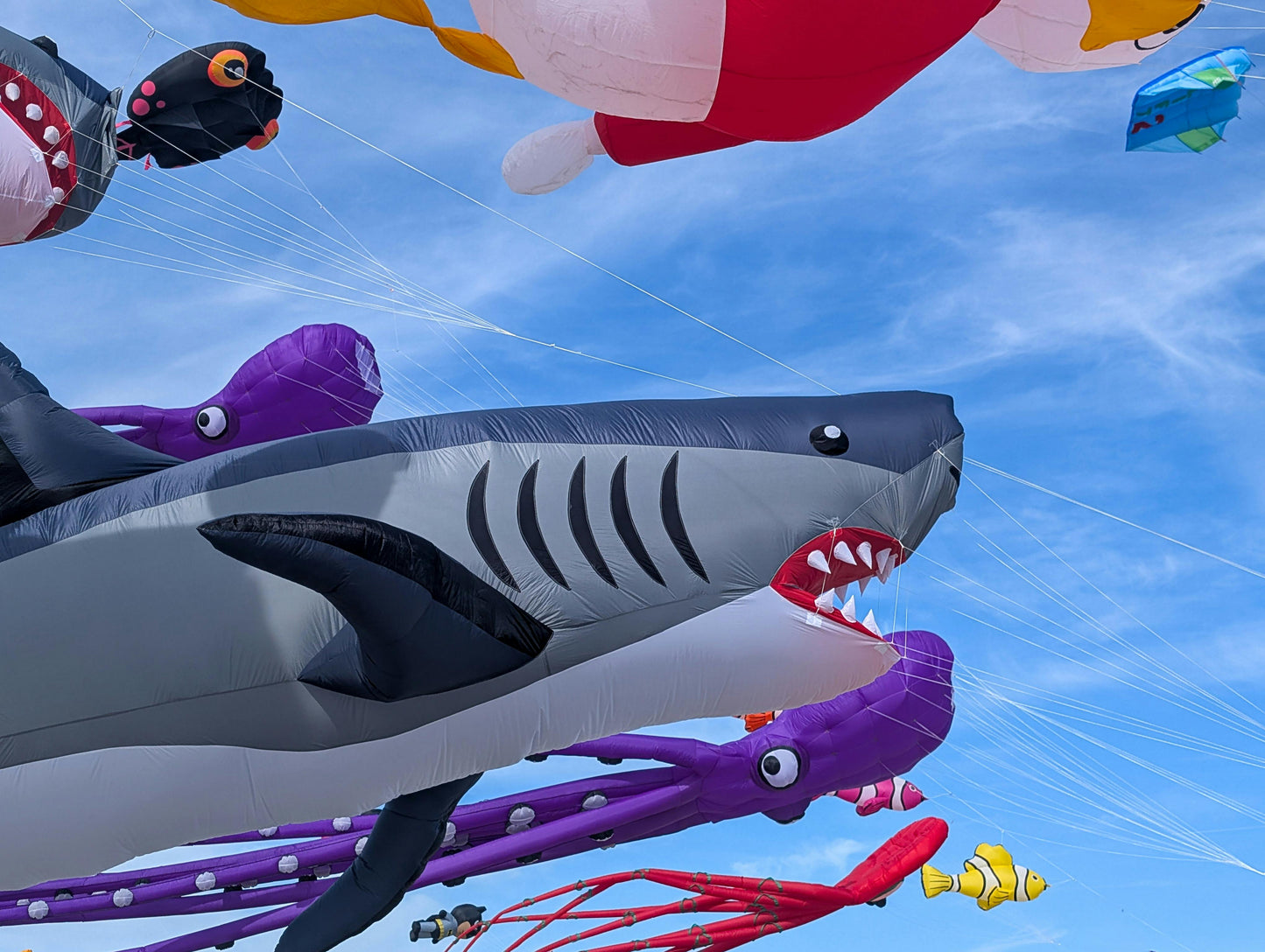 39e Rencontres Internationales du Cerf-Volant à Berck-sur-Mer