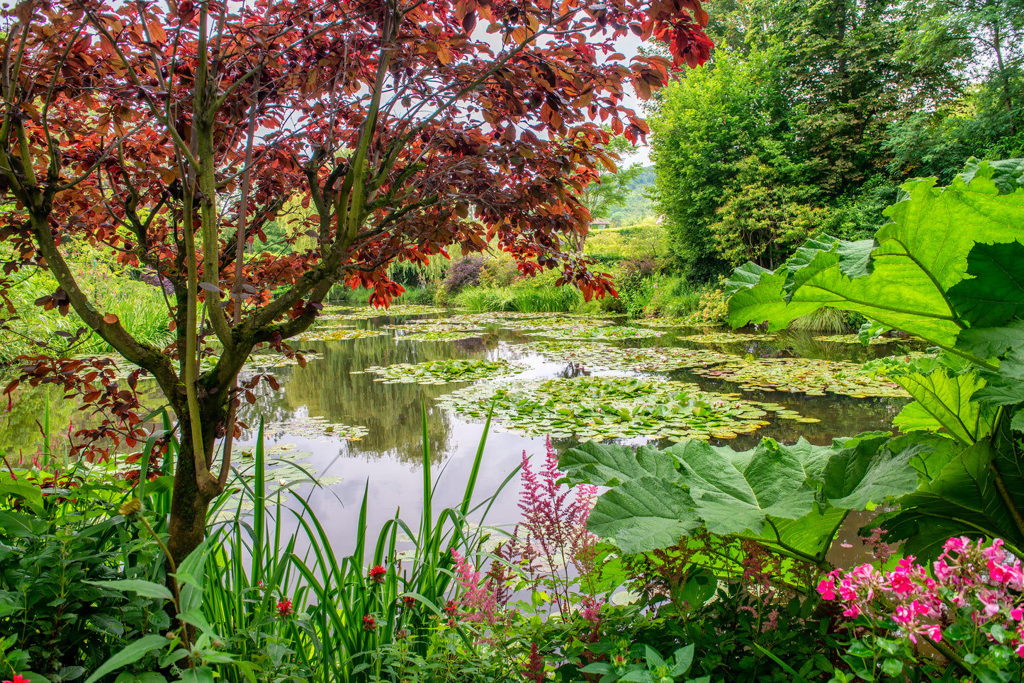 Giverny