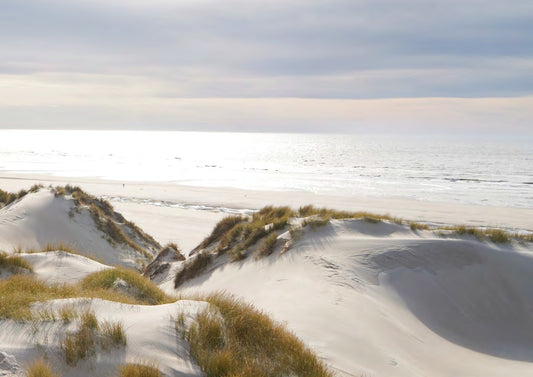 Journée mer au Touquet